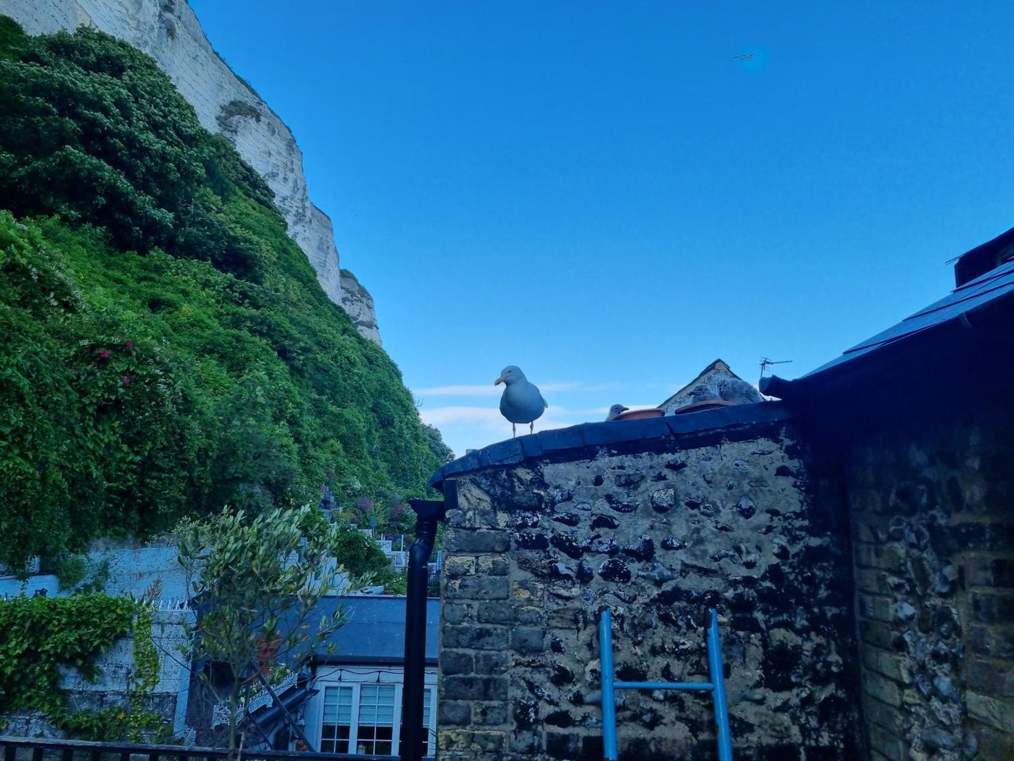 First And Last Youth Hostel Ντόβερ Εξωτερικό φωτογραφία